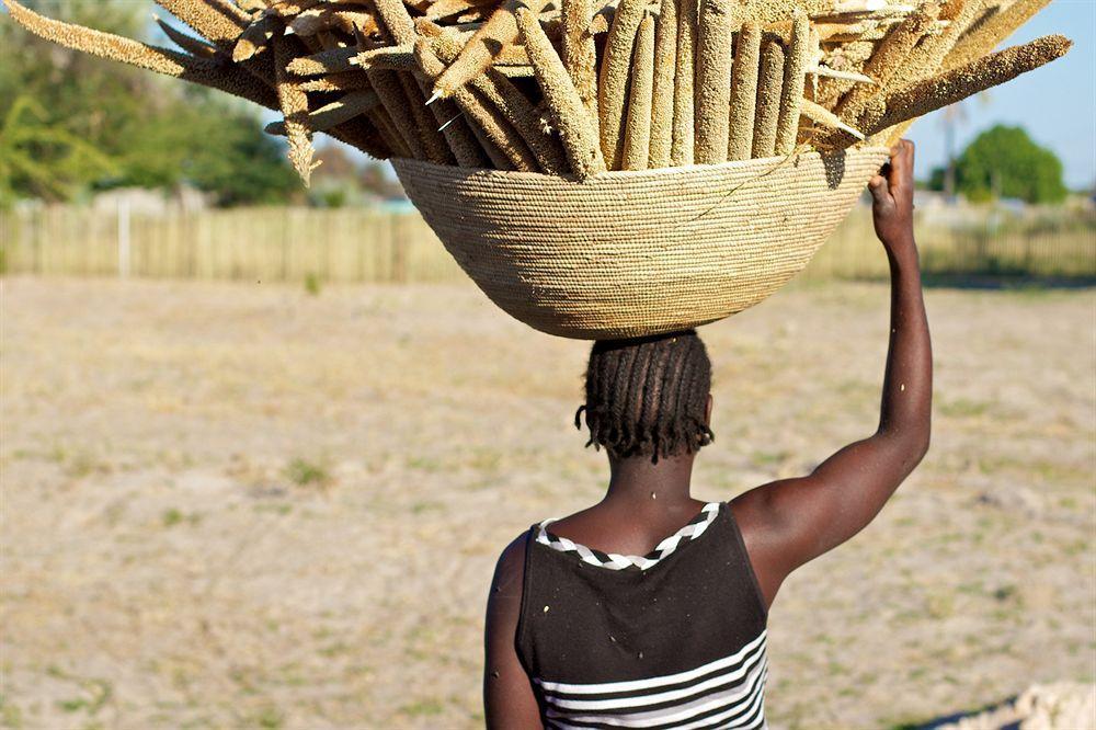 Ongula Village Homestead Lodge Ondangwa Dış mekan fotoğraf