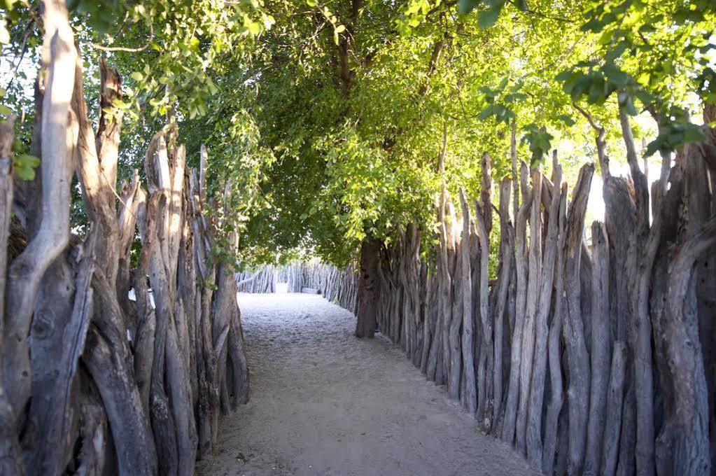 Ongula Village Homestead Lodge Ondangwa Dış mekan fotoğraf