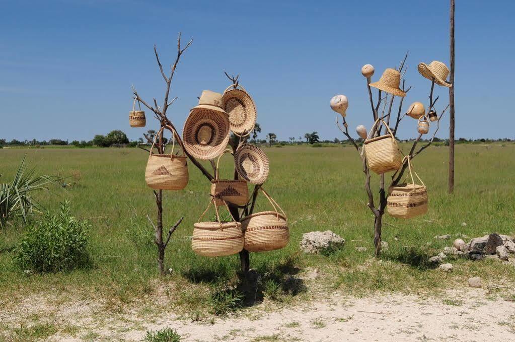 Ongula Village Homestead Lodge Ondangwa Dış mekan fotoğraf
