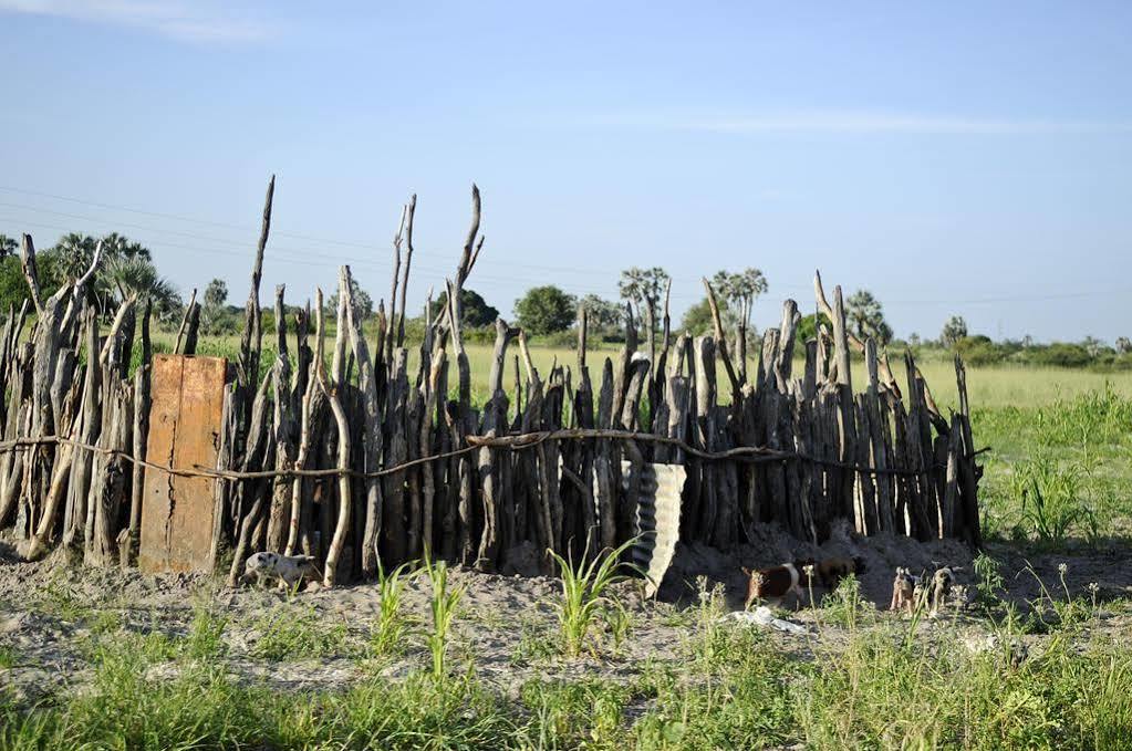Ongula Village Homestead Lodge Ondangwa Dış mekan fotoğraf