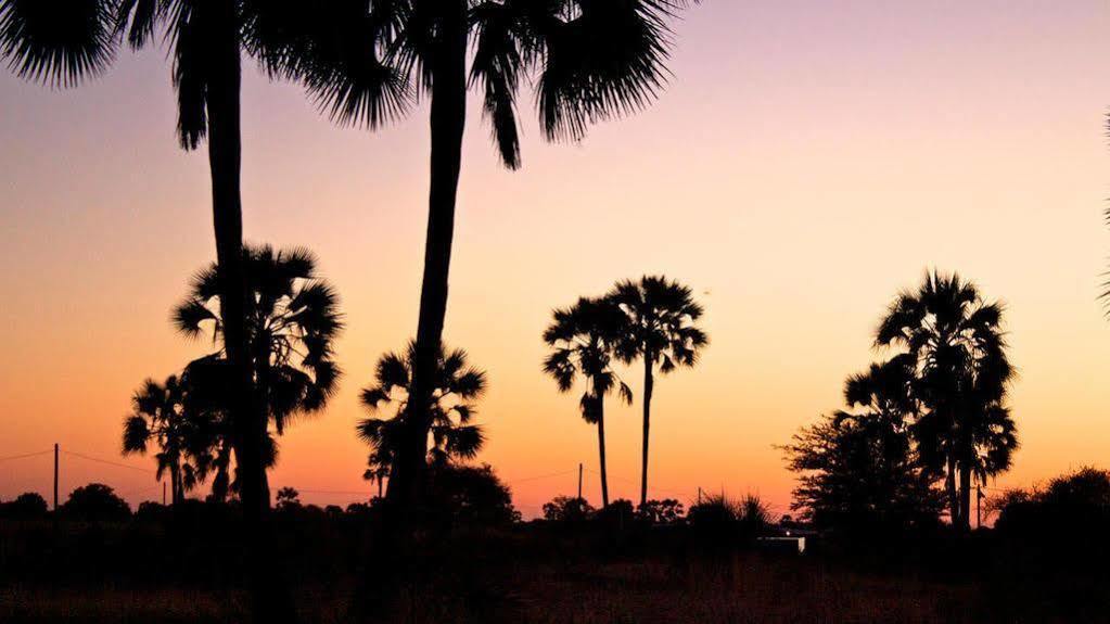 Ongula Village Homestead Lodge Ondangwa Dış mekan fotoğraf